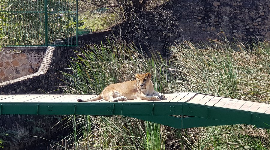 Lubumbashi Zoo